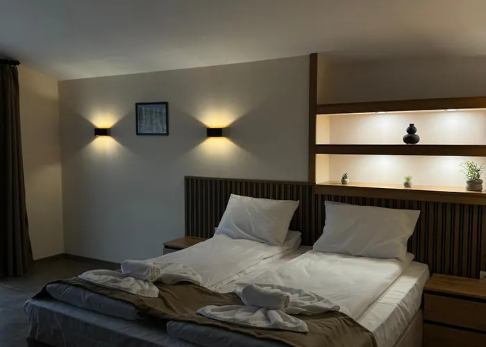 къща александра 2 도브리니쉬트